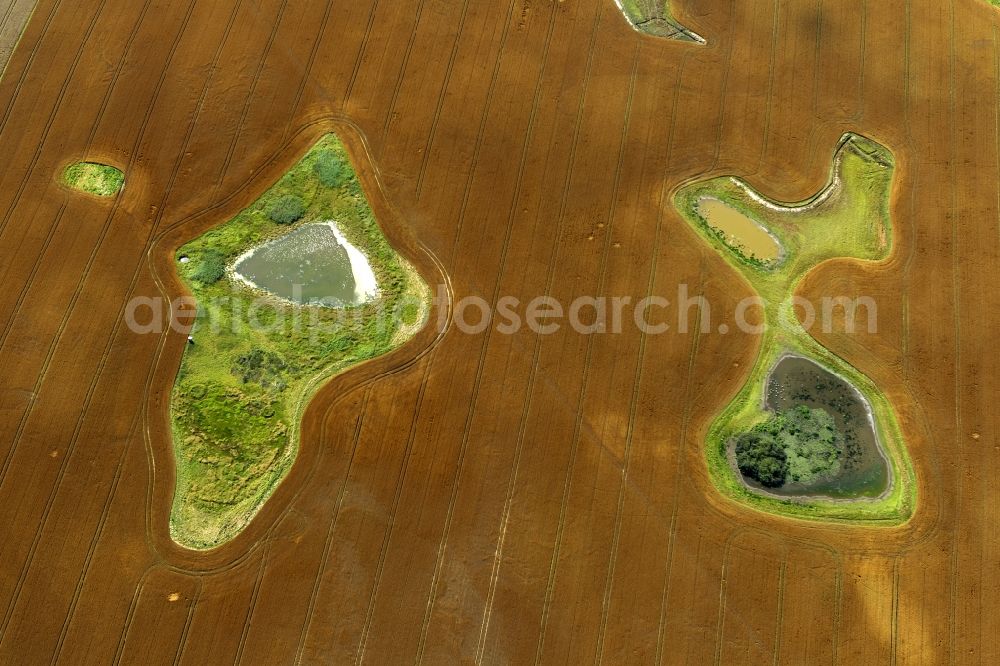 Damshagen from the bird's eye view: Ripe grain-field structures at Damshagen in Mecklenburg-Western Pomerania