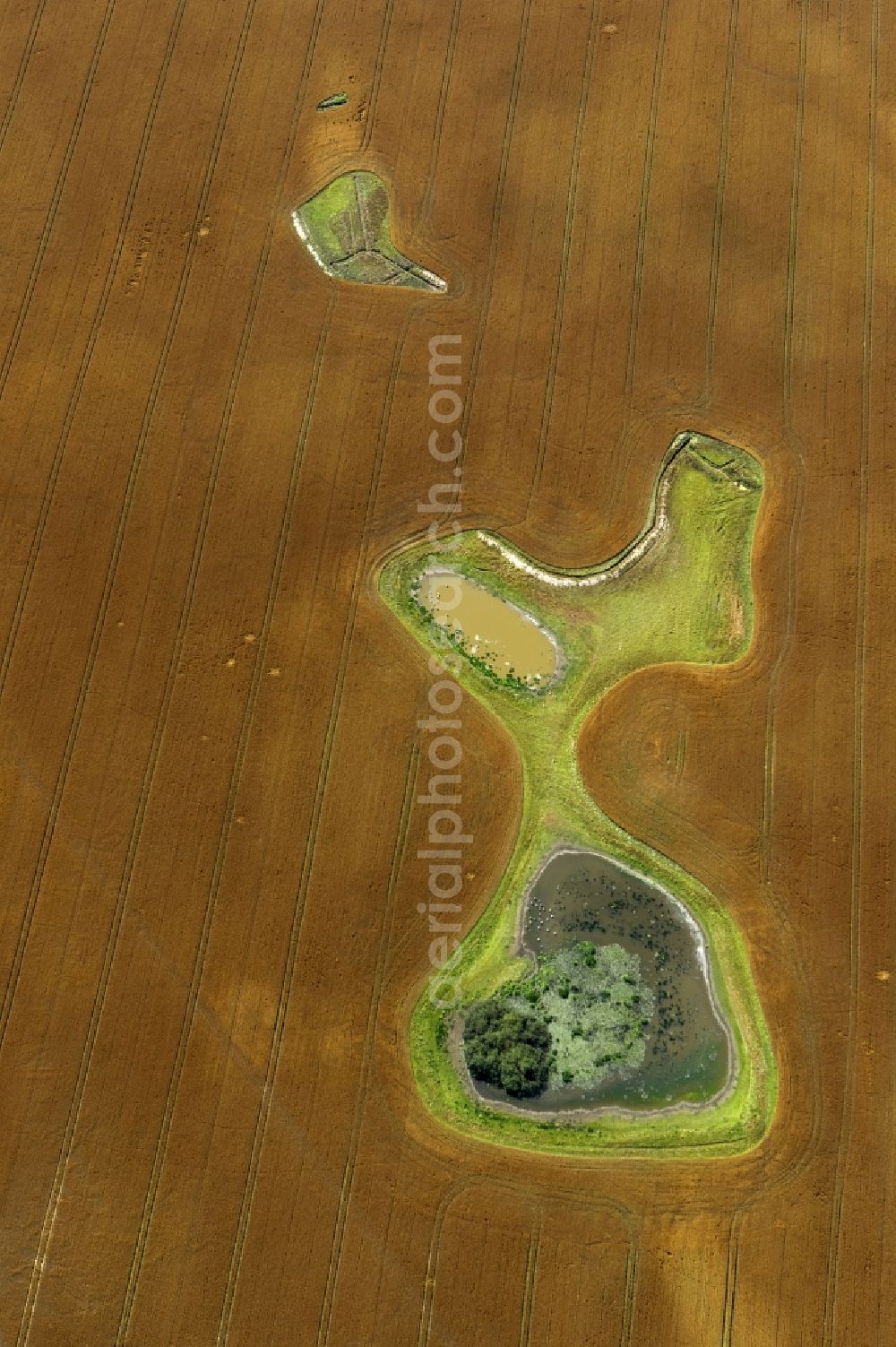 Aerial image Damshagen - Ripe grain-field structures at Damshagen in Mecklenburg-Western Pomerania