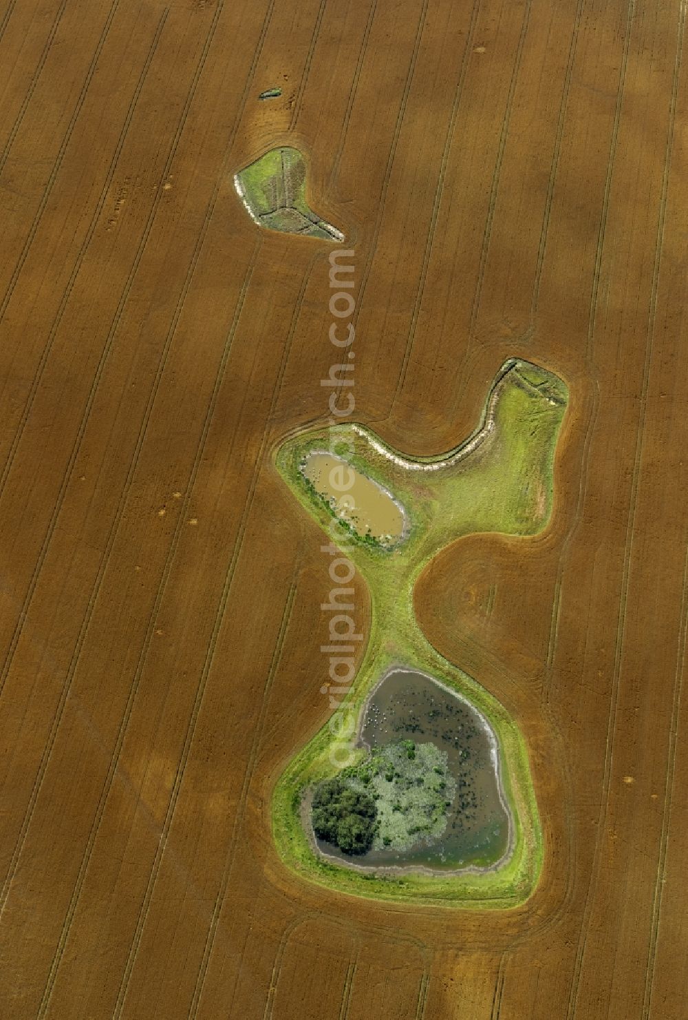 Aerial photograph Damshagen - Ripe grain-field structures at Damshagen in Mecklenburg-Western Pomerania