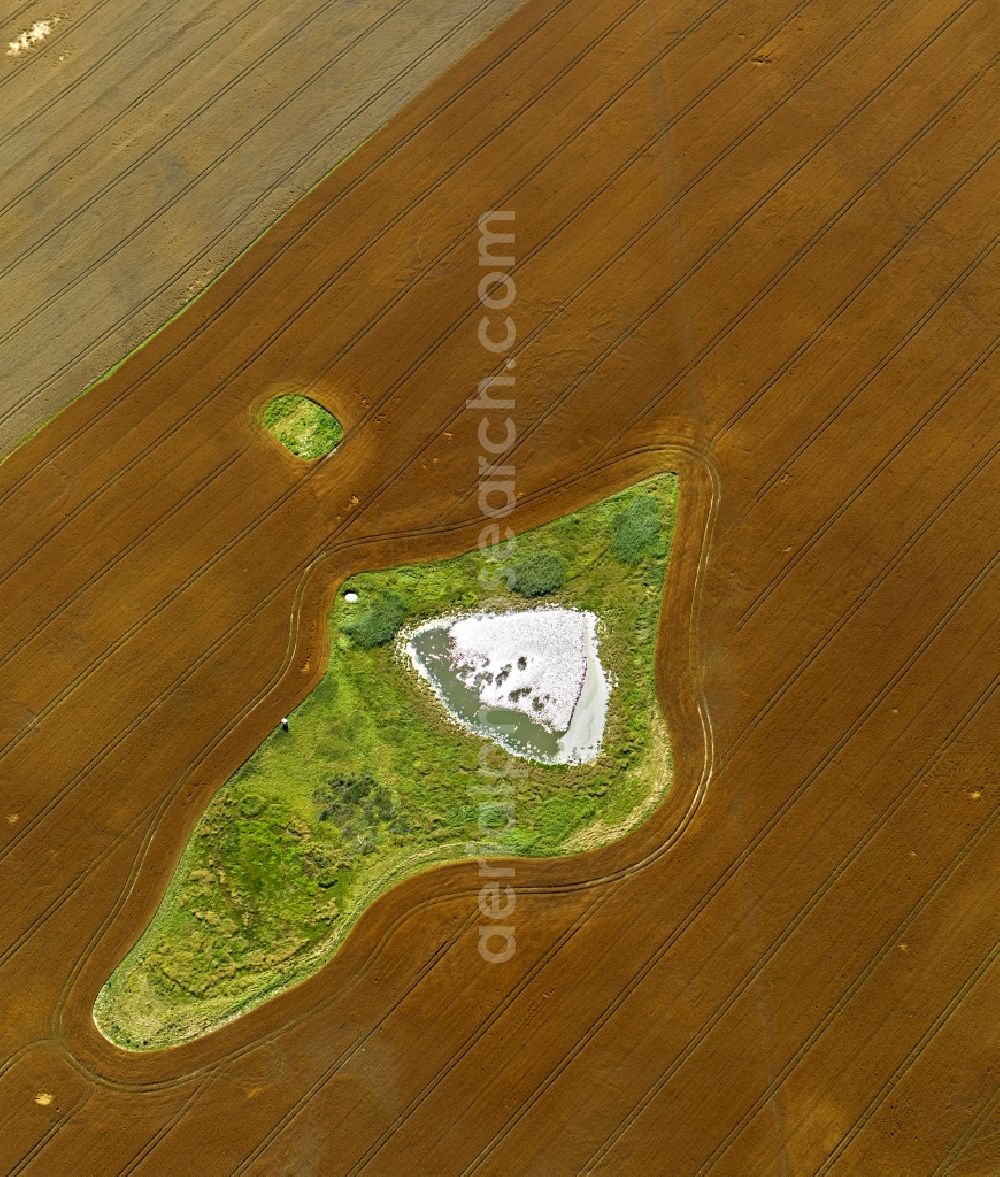 Damshagen from above - Ripe grain-field structures at Damshagen in Mecklenburg-Western Pomerania