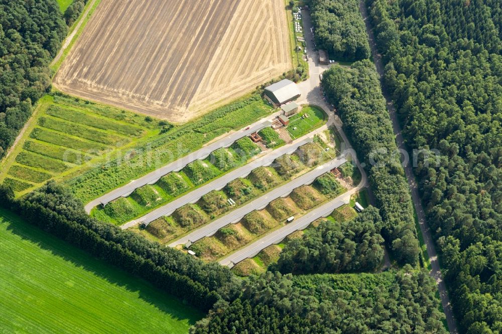 Aerial photograph Deinste - Panel rows of photovoltaic and solar farm or solar power plant in Deinste in the state Lower Saxony, Germany