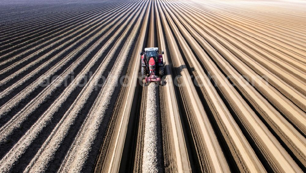 Aerial image Beelitz - Rows with asparagus fields in Beelitz in the state Brandenburg, Germany