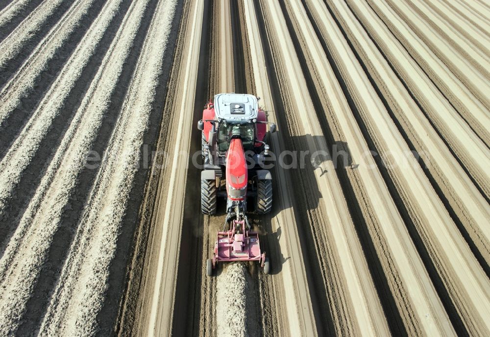 Aerial photograph Beelitz - Rows with asparagus fields in Beelitz in the state Brandenburg, Germany