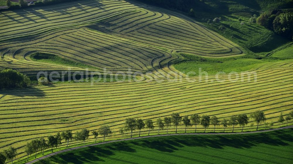 Aerial image Blankenbach - Freshly mowed rows and lines of mowed grass in fields in Blankenbach in the state North Rhine-Westphalia, Germany