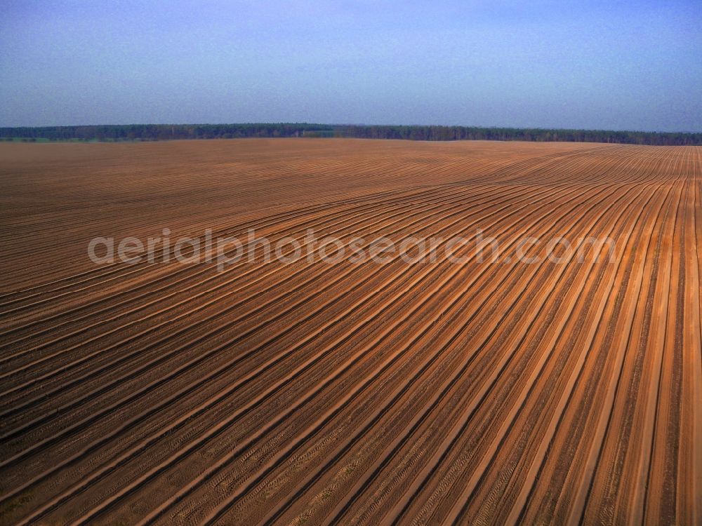 Flatow from above - Rows with asparagus growing on field surfaces in Flatow in the state Brandenburg