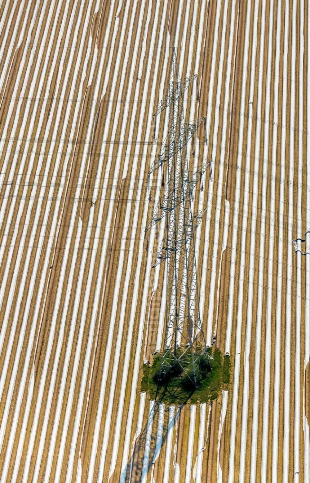 Aerial image Friedrichsfeld - Rows with asparagus growing on field surfaces in Friedrichsfeld in the state North Rhine-Westphalia, Germany