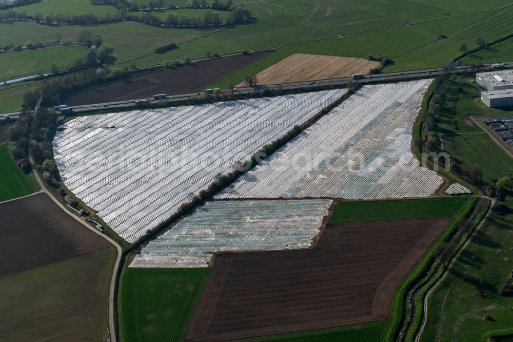 Aerial image Herbolzheim - Rows with asparagus growing on field surfaces in Herbolzheim in the state Baden-Wurttemberg, Germany