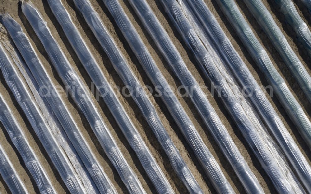 Aerial image Kremmen - Rows with asparagus growing on field surfaces in Kremmen in the state Brandenburg, Germany