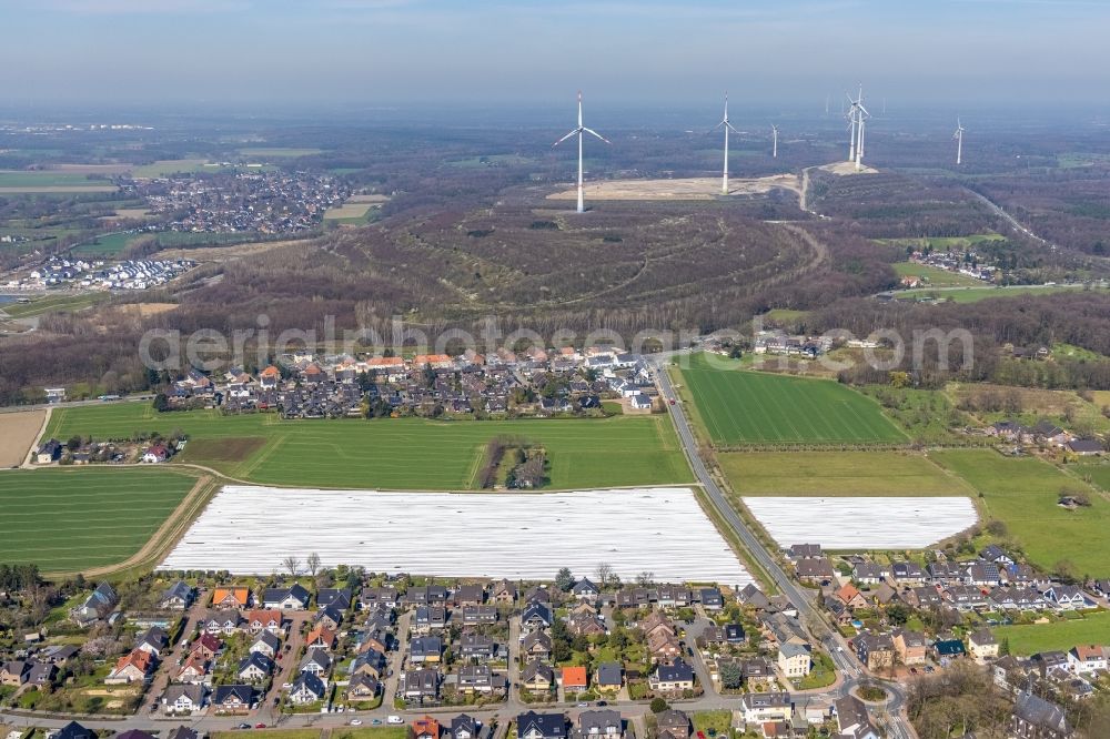 Aerial photograph Oberlohberg - Rows with asparagus growing on field surfaces in Oberlohberg at Ruhrgebiet in the state North Rhine-Westphalia, Germany