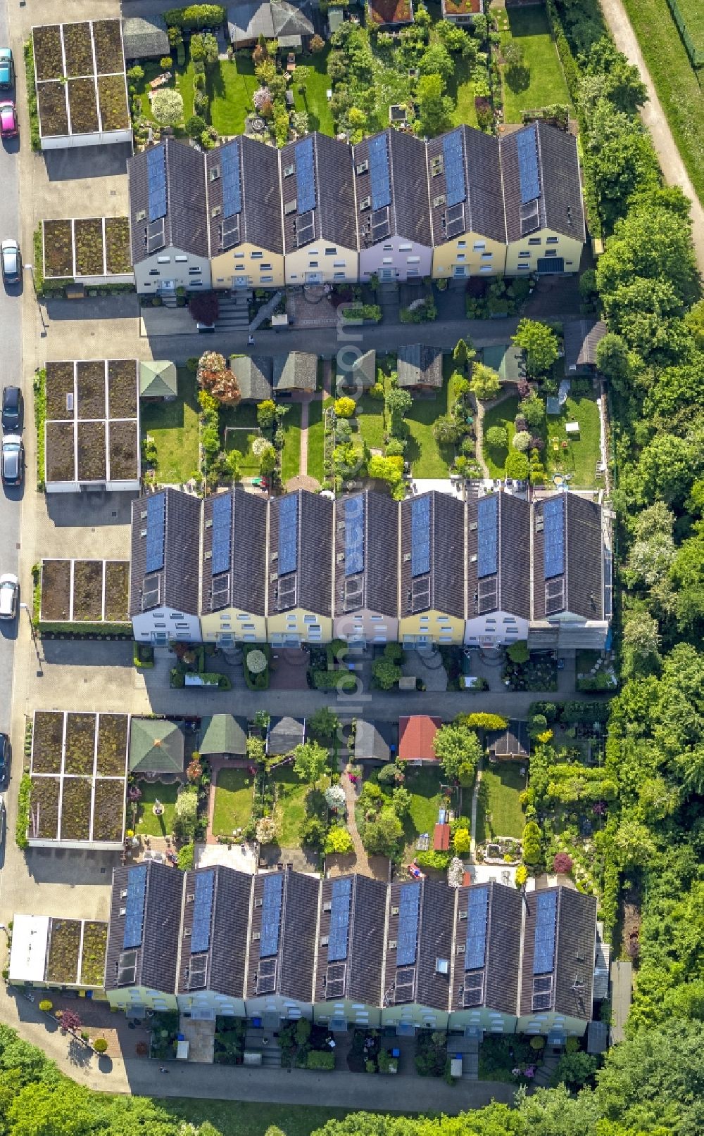 Aerial photograph Gelsenkirchen - Terraced houses a multi-family house - new construction - residential complex on Sonnenhof in Gelsenkirchen in North Rhine-Westphalia