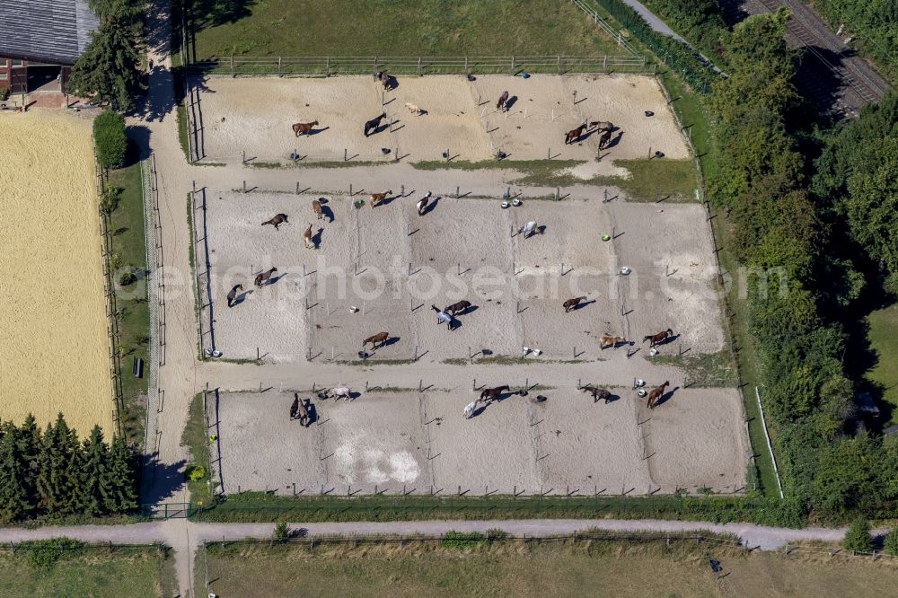 Aerial image Bochum - Horse riding by the side of the street Harenburg in Bochum- Wattenscheid in the Ruhr area in North Rhine-Westphalia