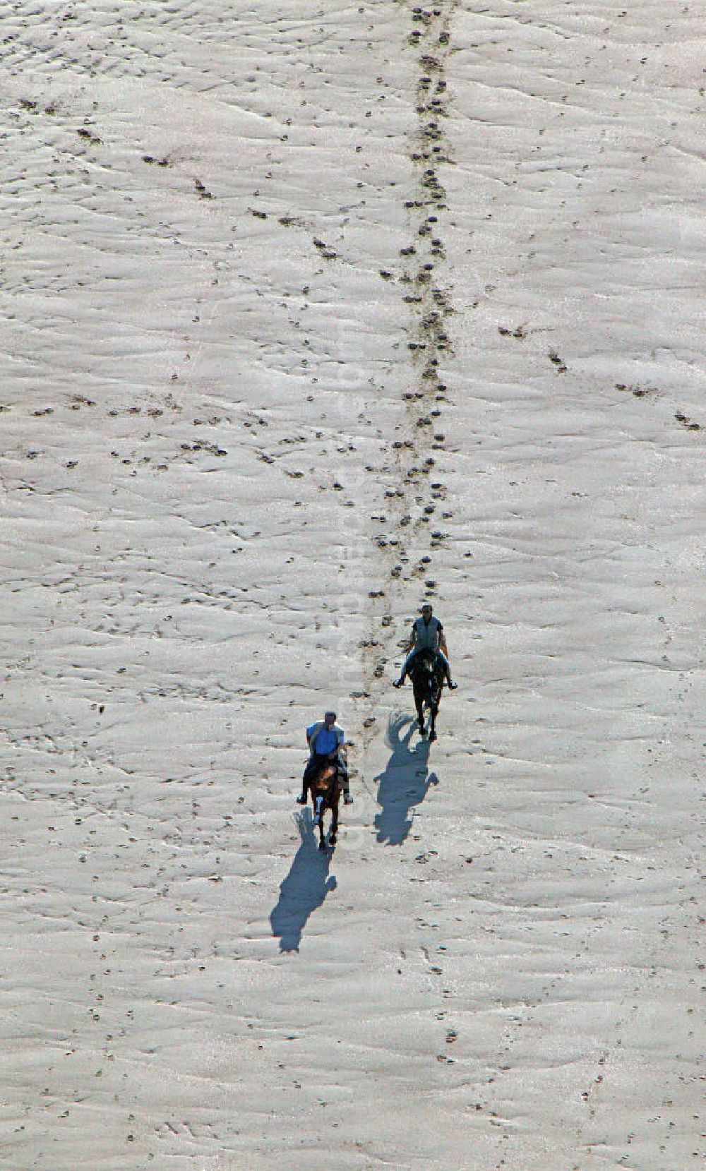 Aerial photograph Norderney - Blick auf Reiter am Strand von Norderney. View of riders on the beach of Norderney.