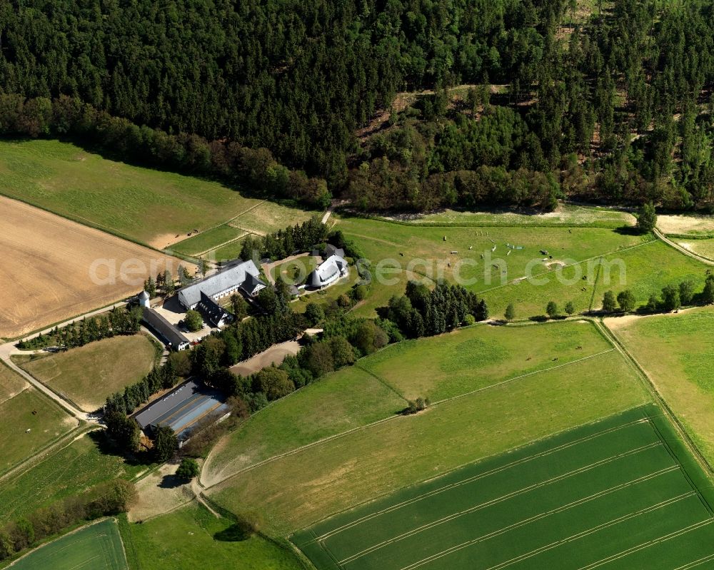 Aerial image Womrath - Riding in Womrath in Rhineland-Palatinate