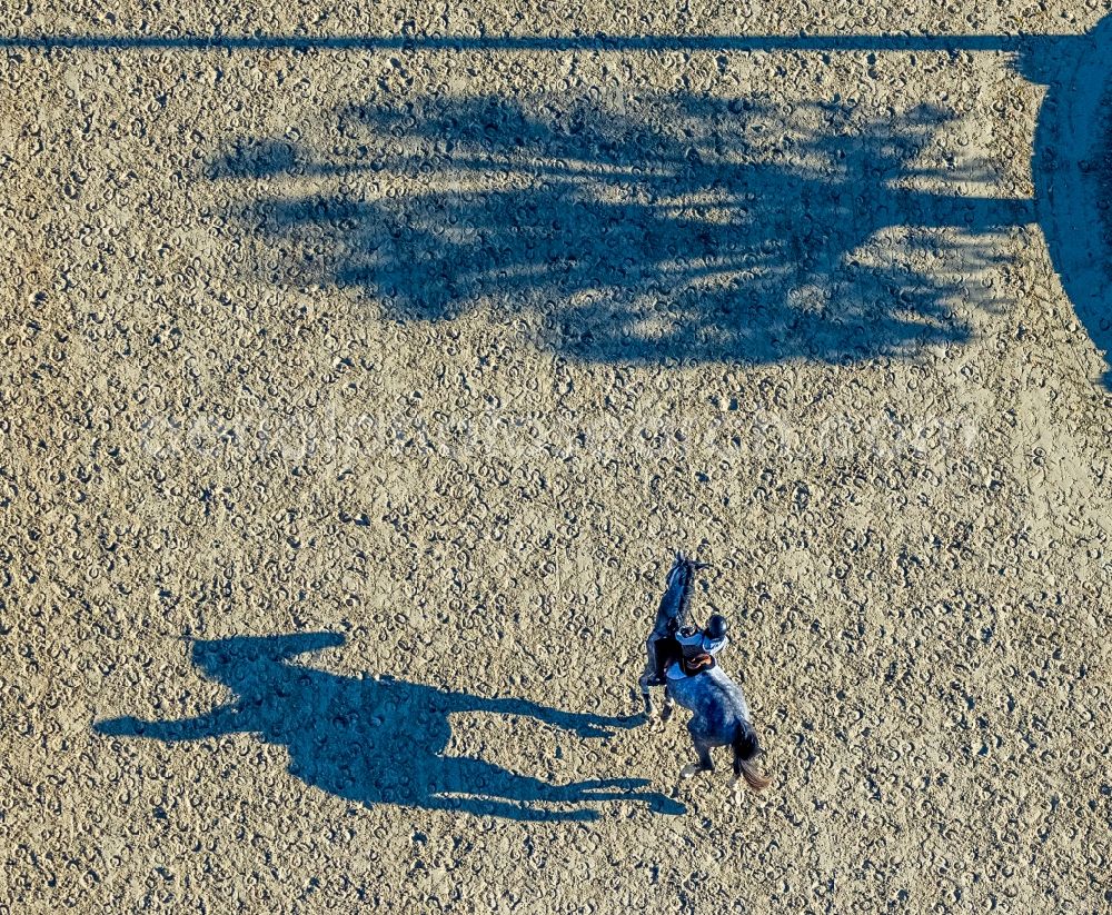 Arnsberg from above - Equestrian training ground and tournament training gallery in the district Vosswinkel in Arnsberg at Sauerland in the state North Rhine-Westphalia, Germany