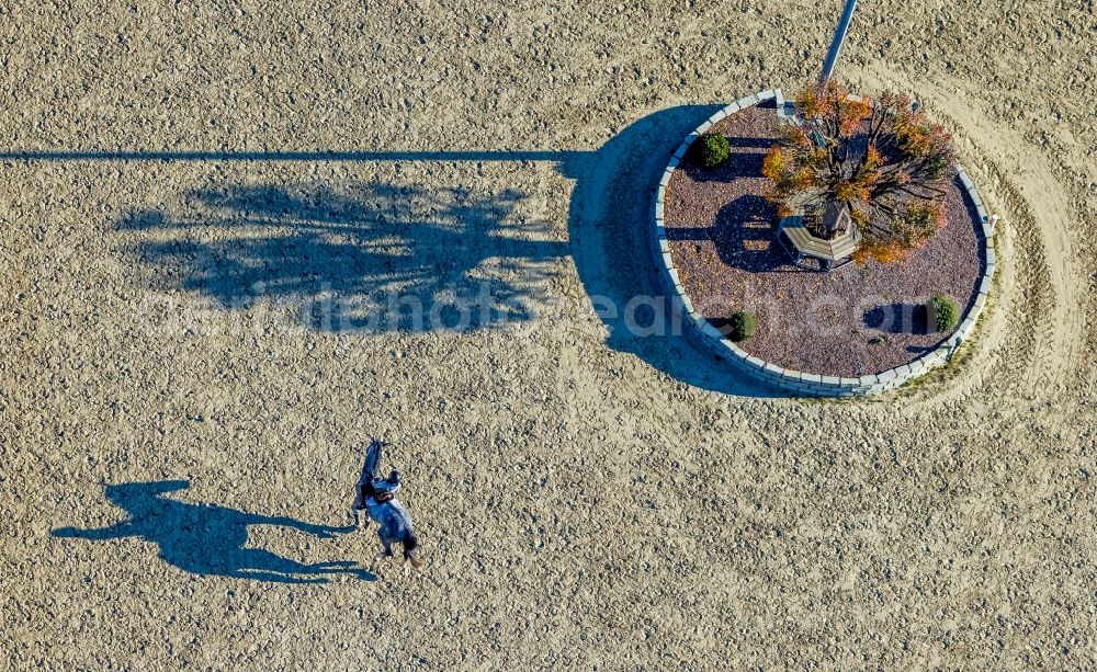 Arnsberg from the bird's eye view: Equestrian training ground and tournament training gallery in the district Vosswinkel in Arnsberg at Sauerland in the state North Rhine-Westphalia, Germany