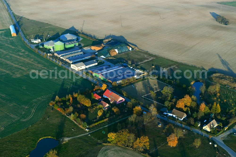 Altentreptow from the bird's eye view: Riding stable - riding stable - Marstall and agricultural plants in the autumnal Altentreptow in the federal state of Mecklenburg-Vorpommern, Germany