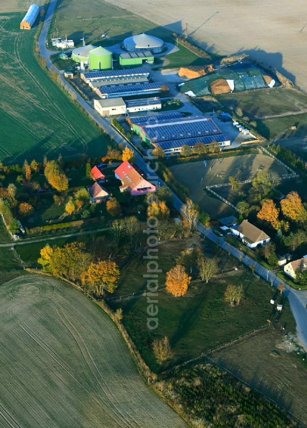 Aerial image Altentreptow - Riding stable - riding stable - Marstall and agricultural plants in the autumnal Altentreptow in the federal state of Mecklenburg-Vorpommern, Germany