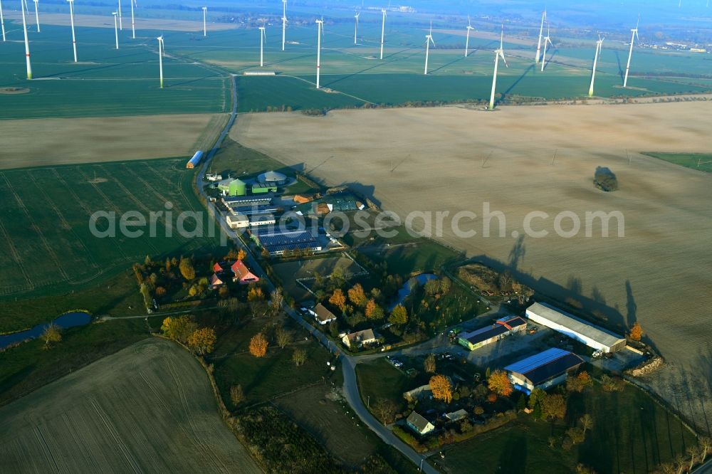 Aerial photograph Altentreptow - Riding stable - riding stable - Marstall and agricultural plants in the autumnal Altentreptow in the federal state of Mecklenburg-Vorpommern, Germany