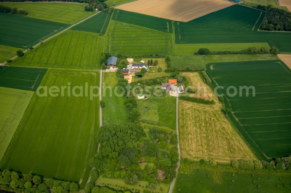 Aerial photograph Hamm - Building of stables on Oberallener Weg in Hamm in the state North Rhine-Westphalia, Germany