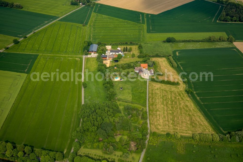 Hamm from the bird's eye view: Building of stables on Oberallener Weg in Hamm in the state North Rhine-Westphalia, Germany