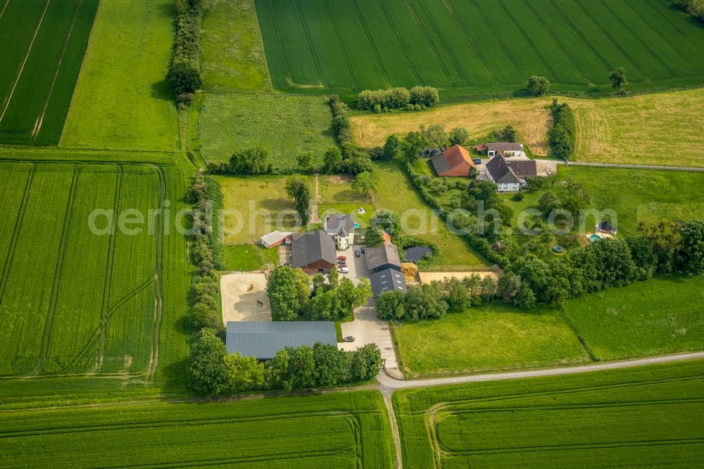 Aerial image Hamm - Building of stables on Oberallener Weg in Hamm in the state North Rhine-Westphalia, Germany