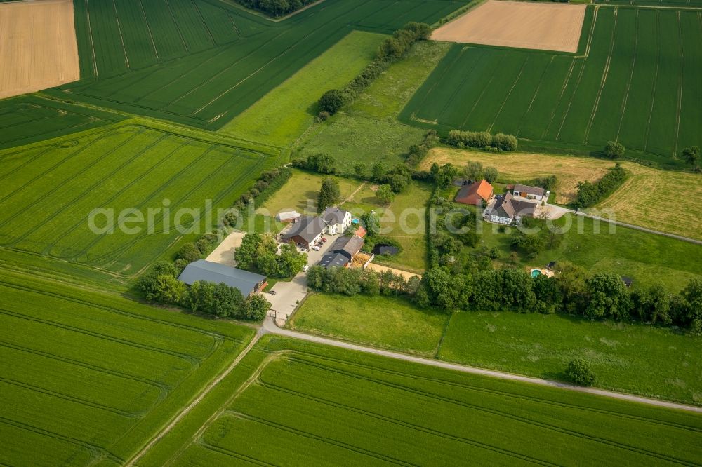 Hamm from above - Building of stables on Oberallener Weg in Hamm in the state North Rhine-Westphalia, Germany