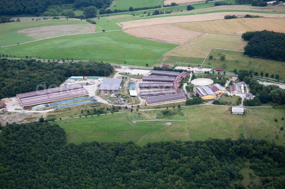 Aerial photograph Einöllen - Building of stables Der Pferdestall - Saloon Hobstaetterhof in Einoellen in the state Rhineland-Palatinate