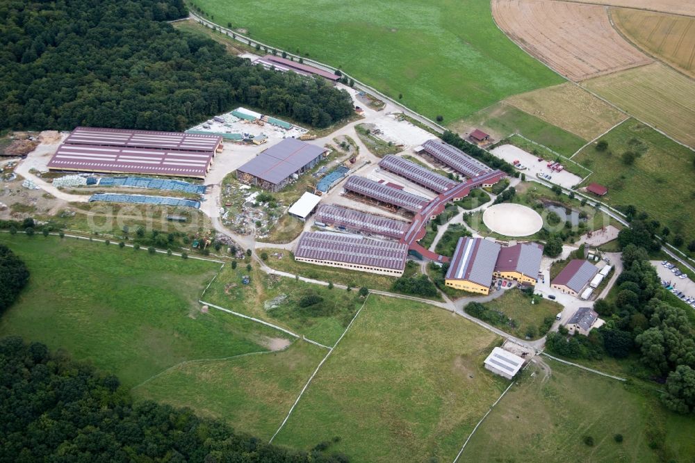 Einöllen from above - Building of stables Der Pferdestall - Saloon Hobstaetterhof in Einoellen in the state Rhineland-Palatinate