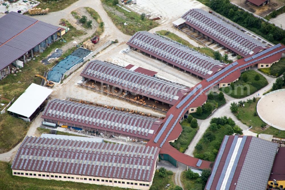 Einöllen from the bird's eye view: Building of stables Der Pferdestall - Saloon Hobstaetterhof in Einoellen in the state Rhineland-Palatinate