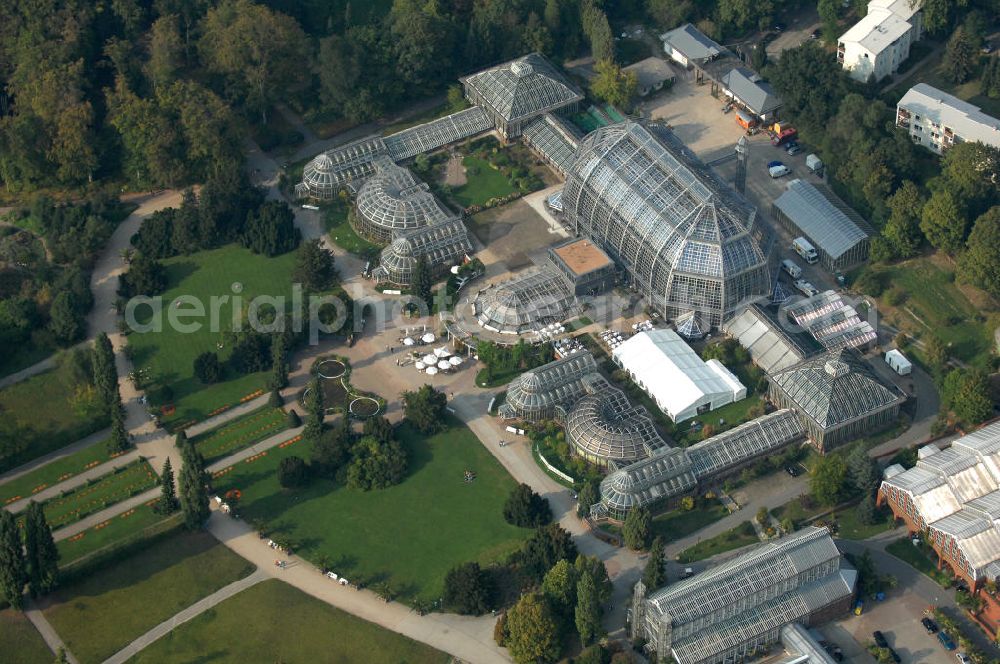 Aerial photograph Berlin - Blick auf das Große Gewächshaus des Botanischen Gartens, am Tage der Wiedereröffnung nach umfassender Sanierung und Rekonstruktion. Mit einem Volumen von 40 000 Kubikmetern und einer Grundfläche von 1750 Quadratmetern gilt das Haus noch immer als eines der größten freitragenden Gewächshäuser der Welt. Die Grundsanierung des Großen Tropenhauses wurde aus dem Umweltentlastungsprogramm (UEP) gefördert, das von der Europäischen Union über den Fonds für Regionale Entwicklung (EFRE) und vom Land Berlin (Senatsverwaltung für Gesundheit, Umwelt und Verbraucherschutz) kofinanziert wird. Weitere Mittel stammen aus der Hochschulbauförderung (HBFG) des Bundes und der Länder, von der Stiftung Deutsche Klassenlotterie Berlin sowie von der Freien Universität Berlin.