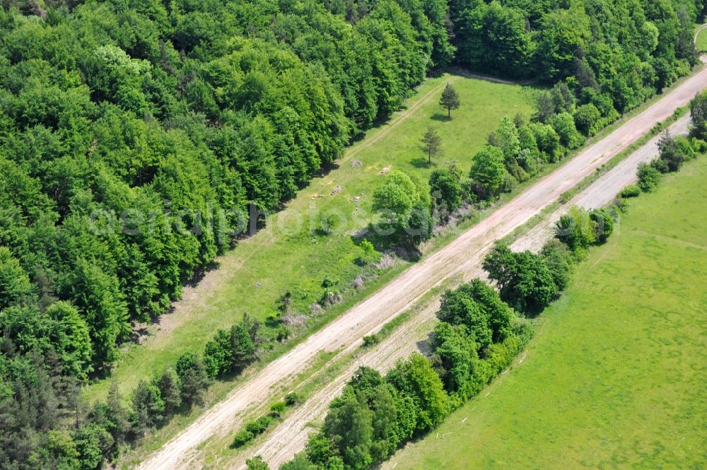 Aerial photograph Wutha-Farnroda - Dismantling and renaturation of the old lanes of the motorway route and the route of the BAB A4 over the Hoerselberge on the L3007 road in Wutha-Farnroda in the Thuringian Forest in the state of Thuringia, Germany