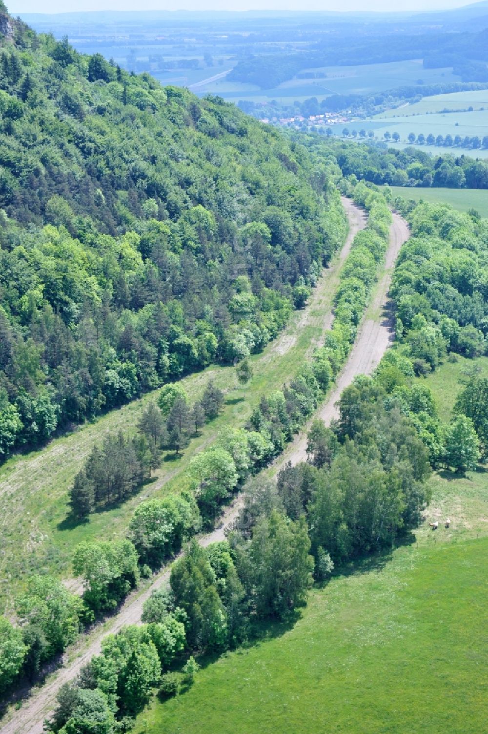 Wutha-Farnroda from the bird's eye view: Dismantling and renaturation of the old lanes of the motorway route and the route of the BAB A4 over the Hoerselberge on the L3007 road in Wutha-Farnroda in the Thuringian Forest in the state of Thuringia, Germany