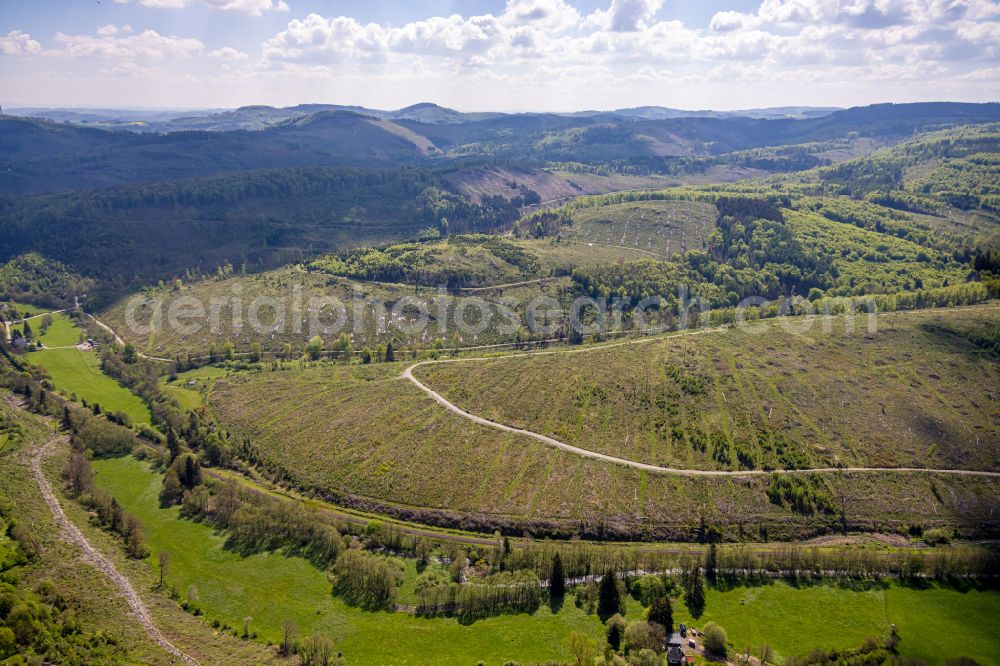 Brilon from above - Renaturation through afforestation of young trees in the forest area in Brilon at Sauerland in the state North Rhine-Westphalia, Germany