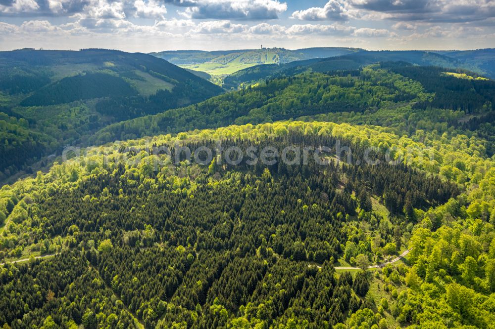 Aerial photograph Brilon-Wald - Renaturation through afforestation of young trees in the forest area on street Friedrich-Koester-Weg in Brilon-Wald at Sauerland in the state North Rhine-Westphalia, Germany