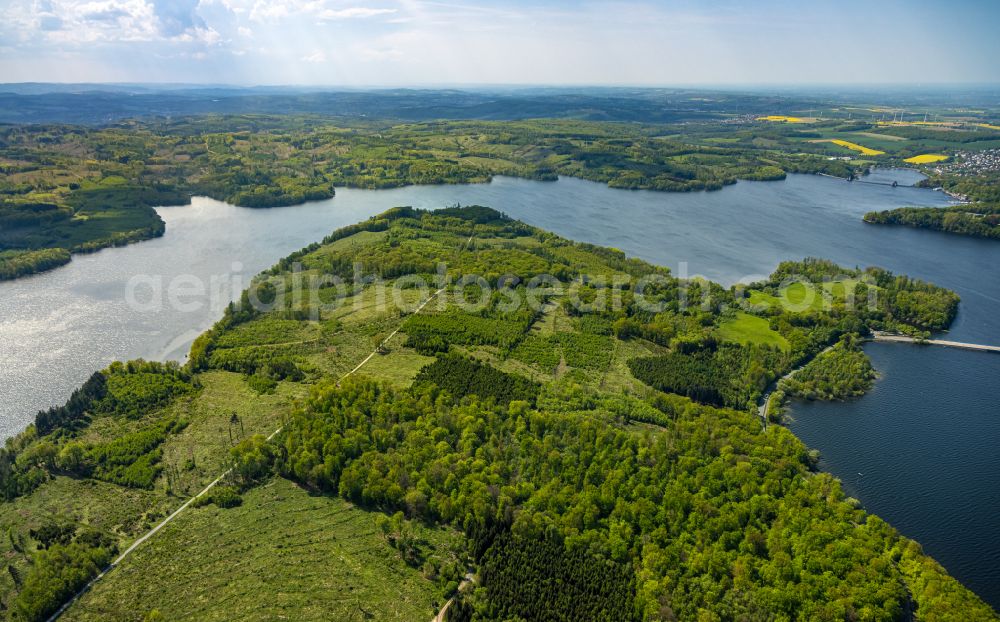 Körbecke from above - Renaturation through afforestation of young trees in the forest area in Körbecke in the state North Rhine-Westphalia, Germany