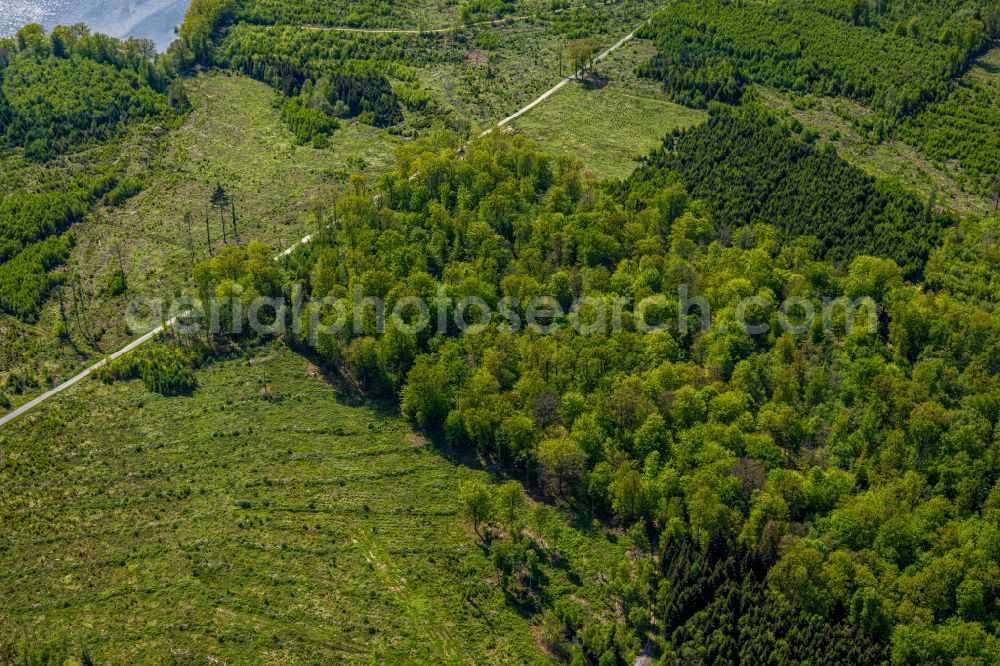 Körbecke from the bird's eye view: Renaturation through afforestation of young trees in the forest area in Körbecke in the state North Rhine-Westphalia, Germany