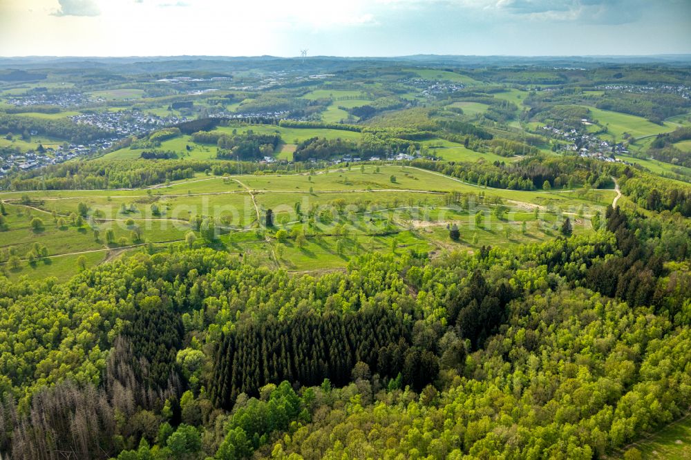 Langenholdinghausen from the bird's eye view: Renaturation through afforestation of young trees in the forest area in Langenholdinghausen in the state North Rhine-Westphalia, Germany