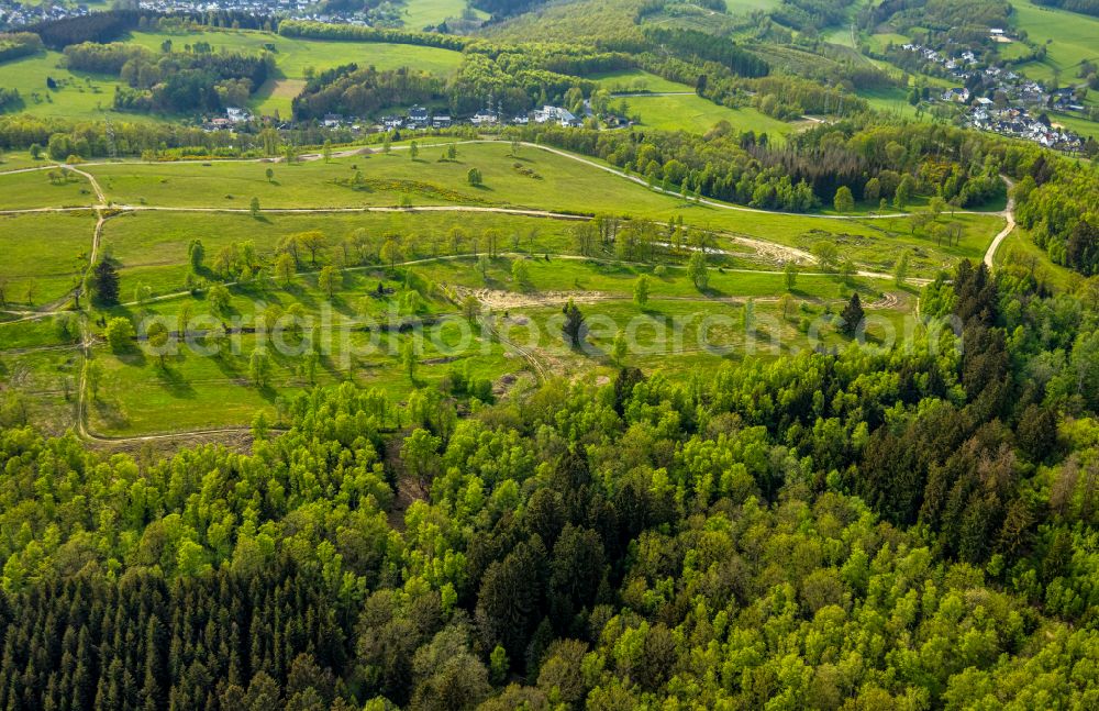 Aerial image Langenholdinghausen - Renaturation through afforestation of young trees in the forest area in Langenholdinghausen in the state North Rhine-Westphalia, Germany