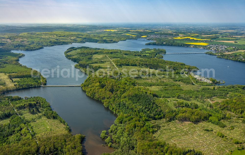 Aerial image Möhnesee - Renaturation through afforestation of young trees in the forest area in Möhnesee at Sauerland in the state North Rhine-Westphalia, Germany