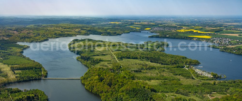 Aerial photograph Möhnesee - Renaturation through afforestation of young trees in the forest area in Möhnesee at Sauerland in the state North Rhine-Westphalia, Germany