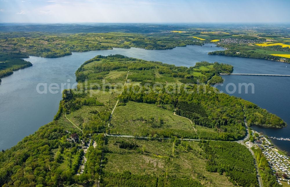 Aerial photograph Möhnesee - Renaturation through afforestation of young trees in the forest area in Möhnesee at Sauerland in the state North Rhine-Westphalia, Germany