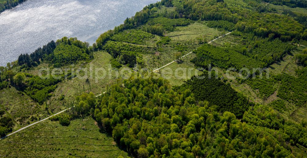 Aerial image Möhnesee - Renaturation through afforestation of young trees in the forest area in Möhnesee at Sauerland in the state North Rhine-Westphalia, Germany