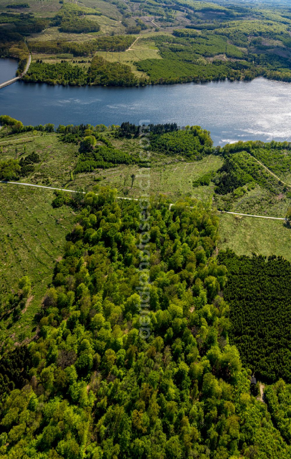 Aerial photograph Möhnesee - Renaturation through afforestation of young trees in the forest area in Möhnesee at Sauerland in the state North Rhine-Westphalia, Germany