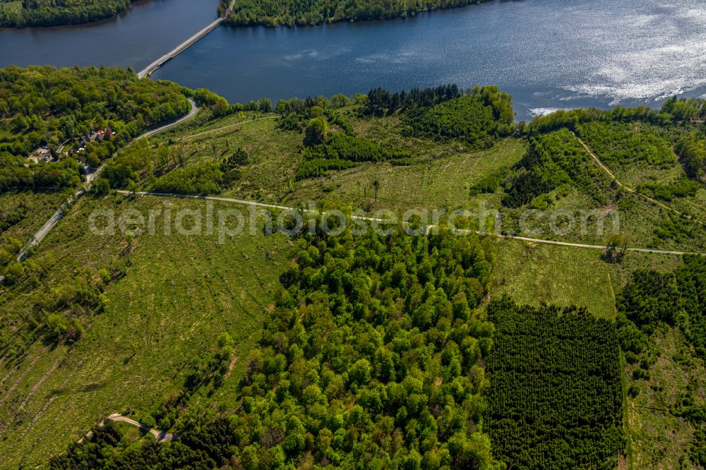 Möhnesee from above - Renaturation through afforestation of young trees in the forest area in Möhnesee at Sauerland in the state North Rhine-Westphalia, Germany