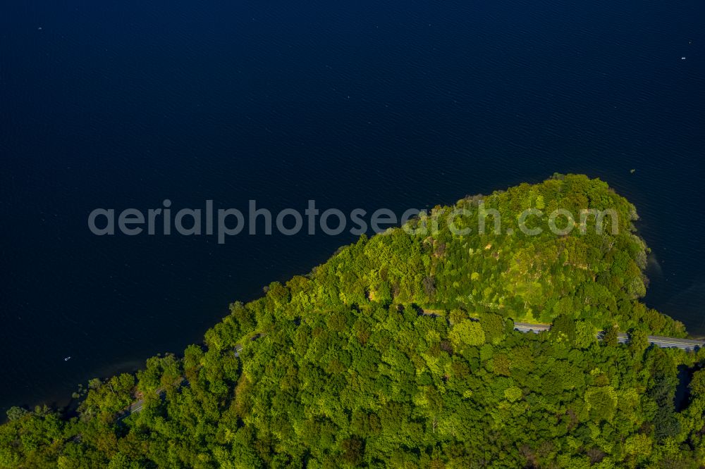 Möhnesee from the bird's eye view: Renaturation through afforestation of young trees in the forest area in Möhnesee at Sauerland in the state North Rhine-Westphalia, Germany