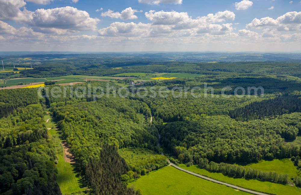 Nieheim from above - Renaturation through afforestation of young trees in the forest area in Nieheim in the state North Rhine-Westphalia, Germany