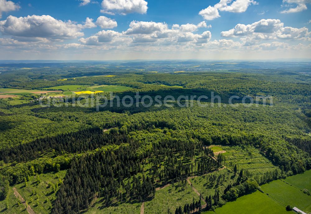 Pömbsen from the bird's eye view: Renaturation through afforestation of young trees in the forest area in Pömbsen in the state North Rhine-Westphalia, Germany