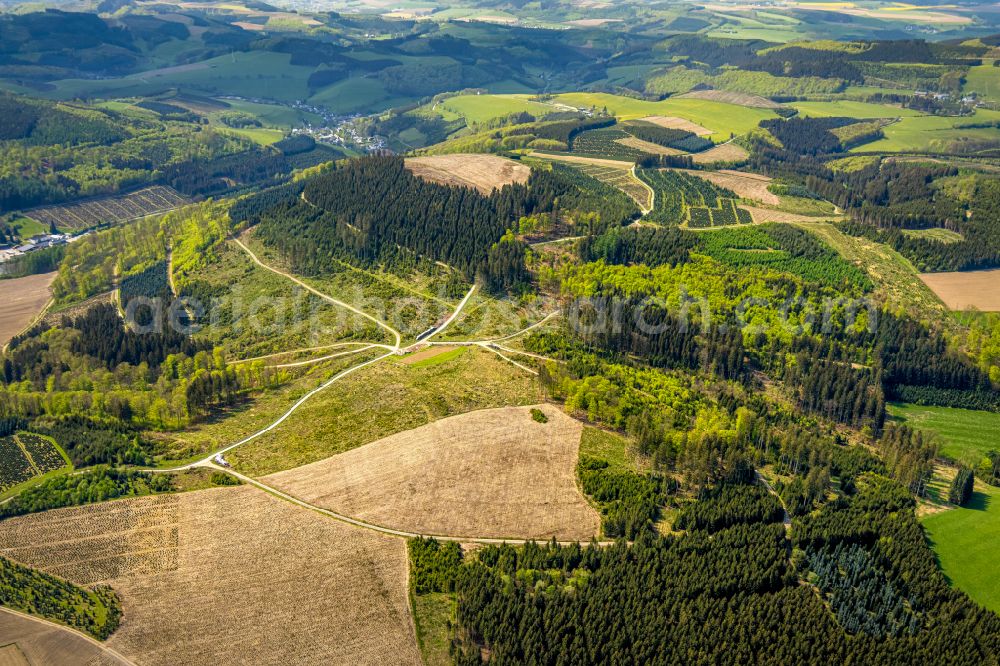 Aerial photograph Schmallenberg - Renaturation through afforestation of young trees in the forest area in Schmallenberg at Sauerland in the state North Rhine-Westphalia, Germany