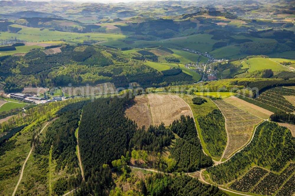 Schmallenberg from above - Renaturation through afforestation of young trees in the forest area in Schmallenberg at Sauerland in the state North Rhine-Westphalia, Germany