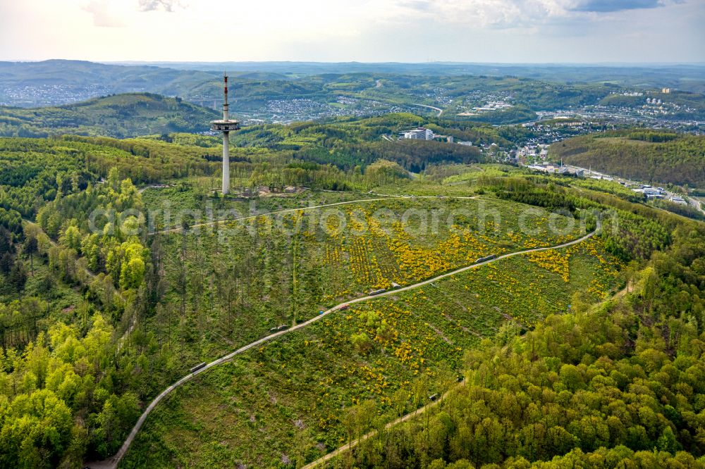 Aerial photograph Siegen - Renaturation through afforestation of young trees in the forest area in Siegen at Siegerland in the state North Rhine-Westphalia, Germany